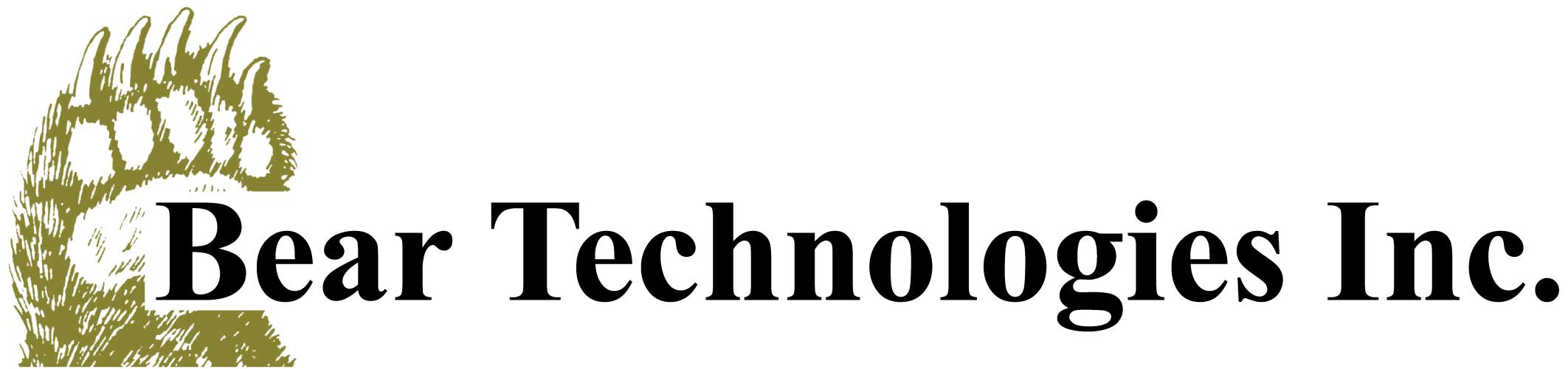 Bear Technologies Inc logo